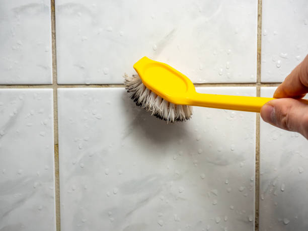 Best Commercial Mold Removal  in Vero Beach South, FL