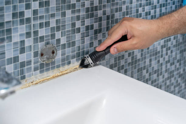 Home Mold Removal in Vero Beach South, FL
